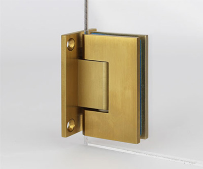 SS-Shower-Hinges-Gold